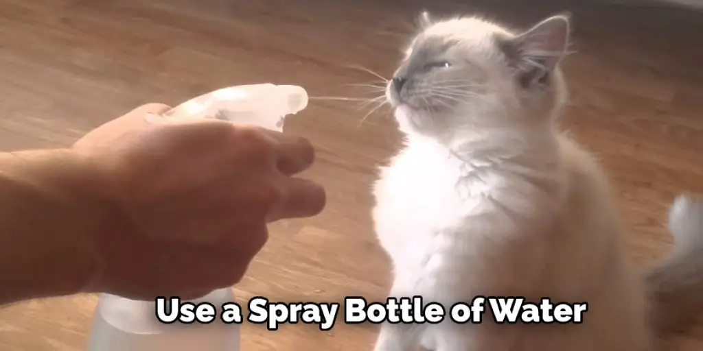 Use a Spray Bottle of Water