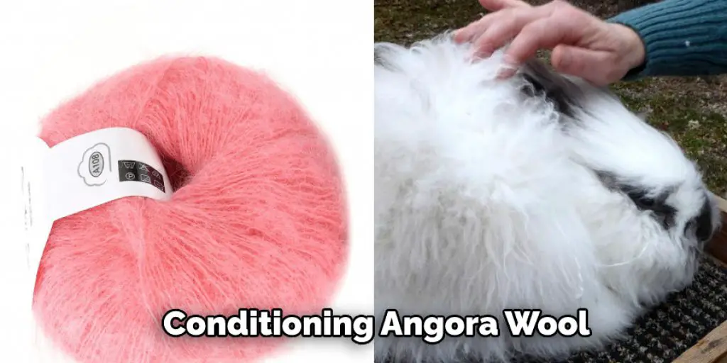 Conditioning Angora Wool