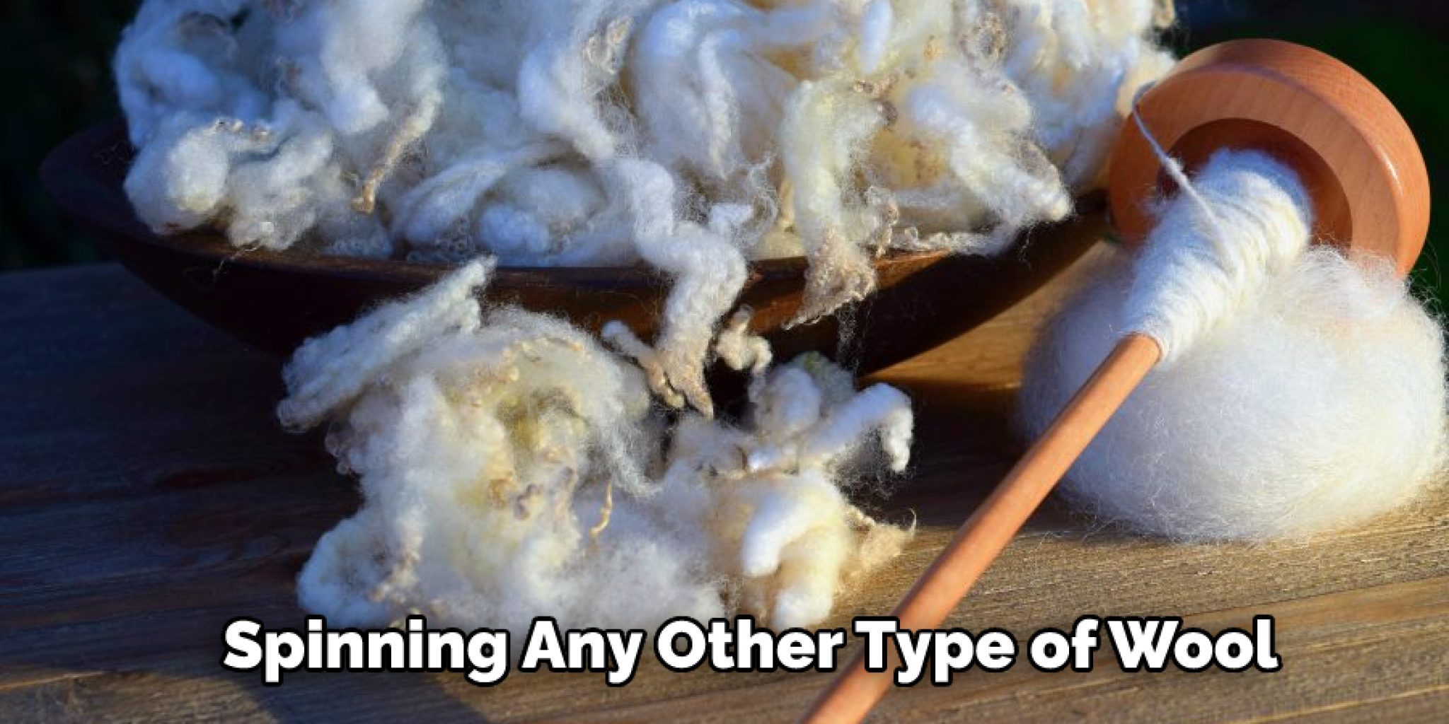 How to Spin Angora Rabbit Wool Explained in 06 Steps