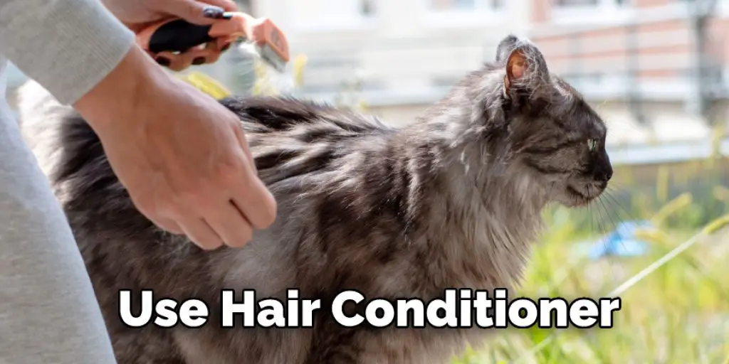 Use Hair Conditioner