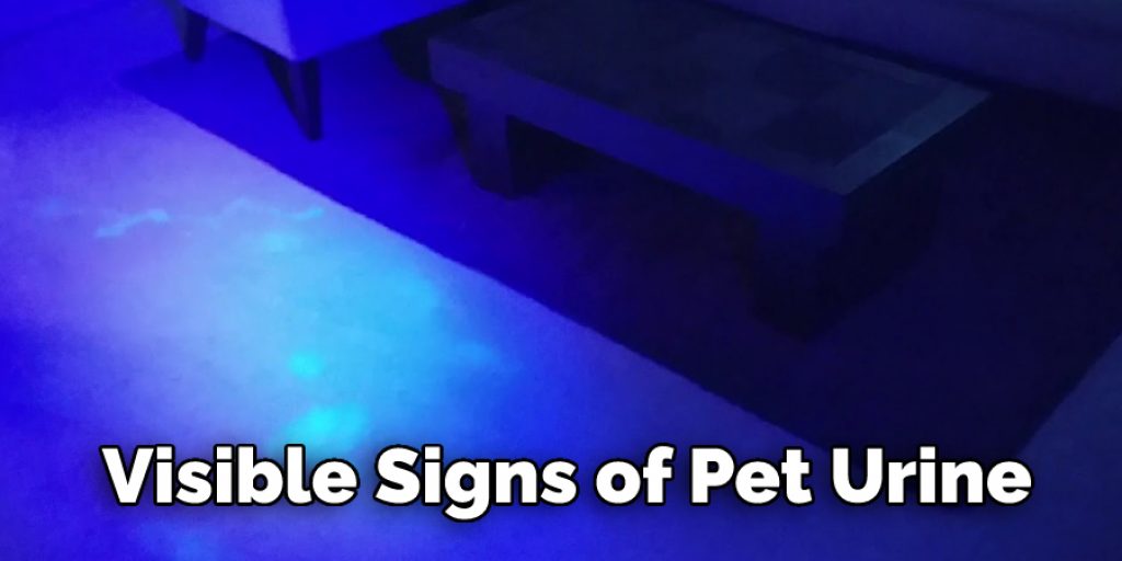 How to Clean Cat Urine to Pass a Black Light Test