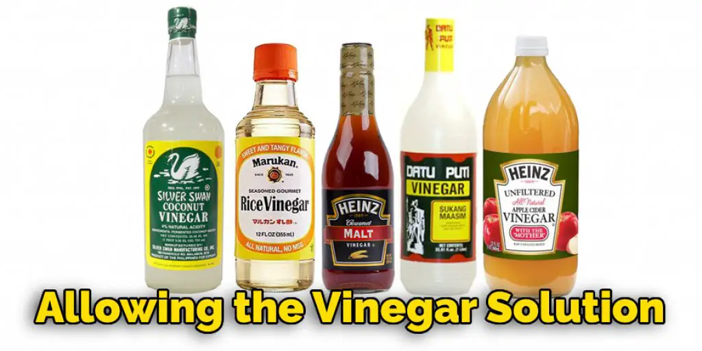 Allowing the Vinegar Solution