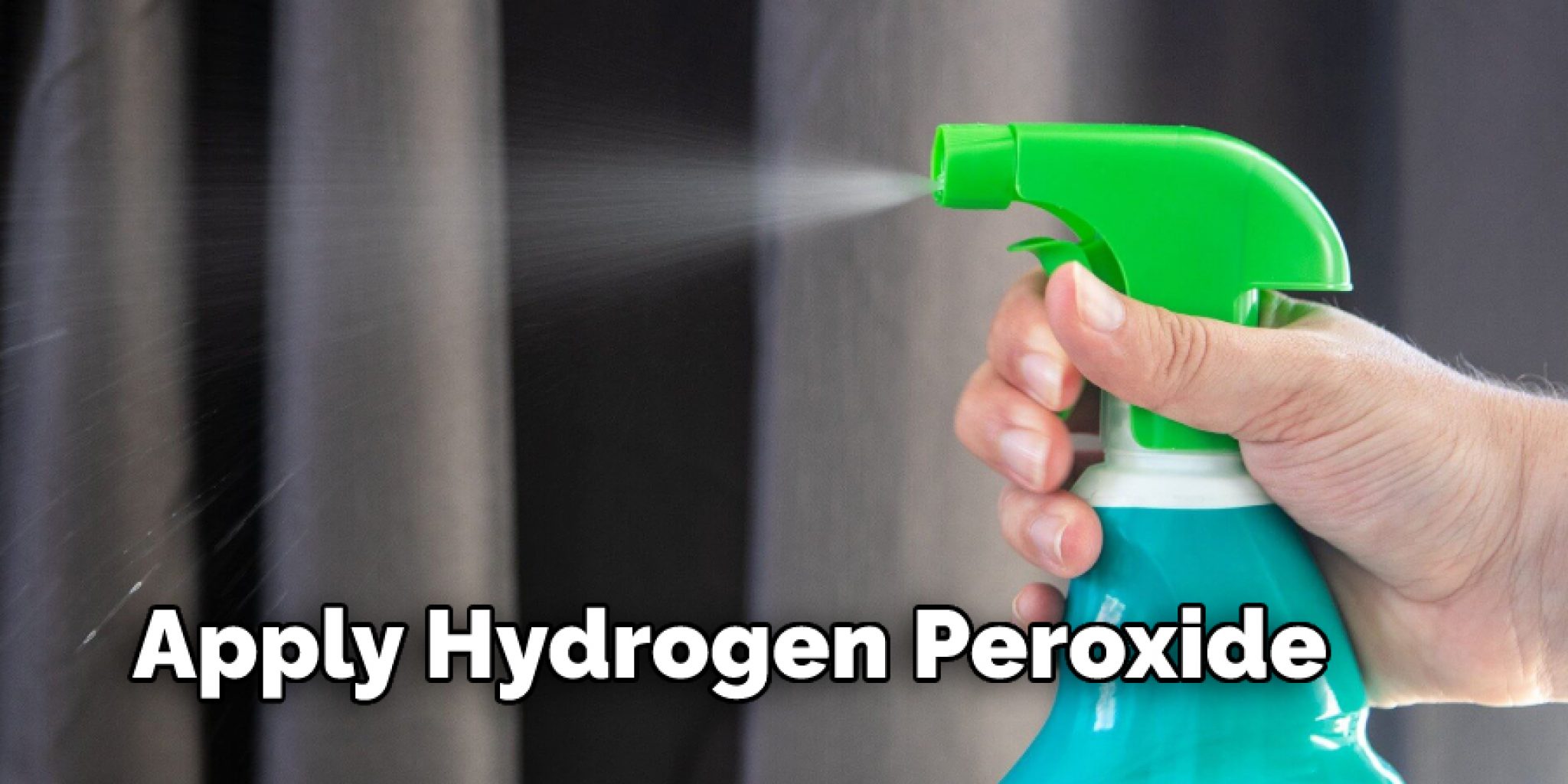 How to Get Cat Urine Out Of Leather Purse 7 Methods to Follow