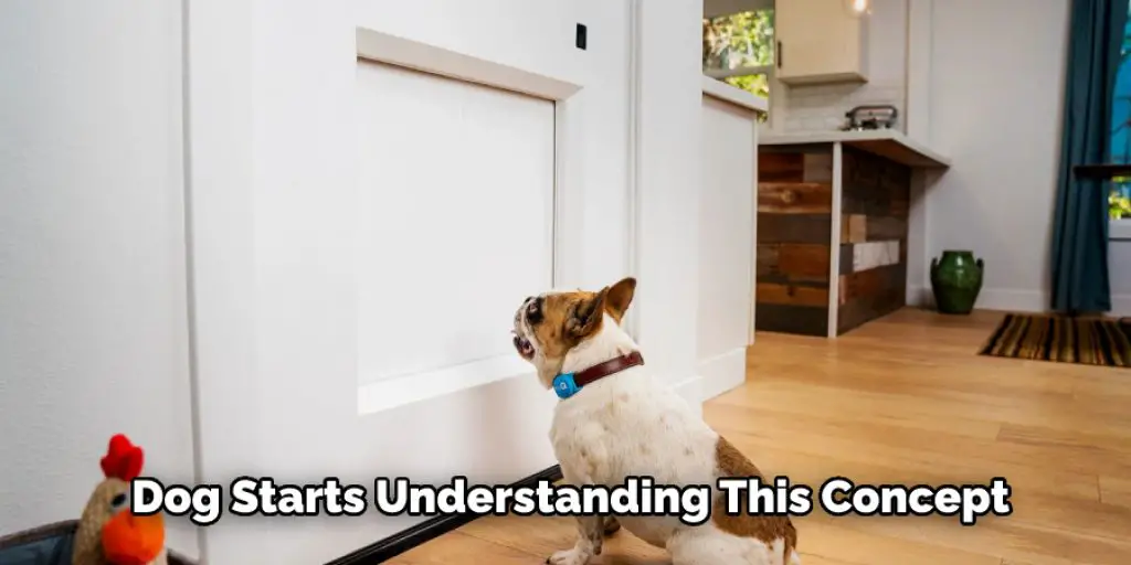 Dog Starts Understanding This Concept