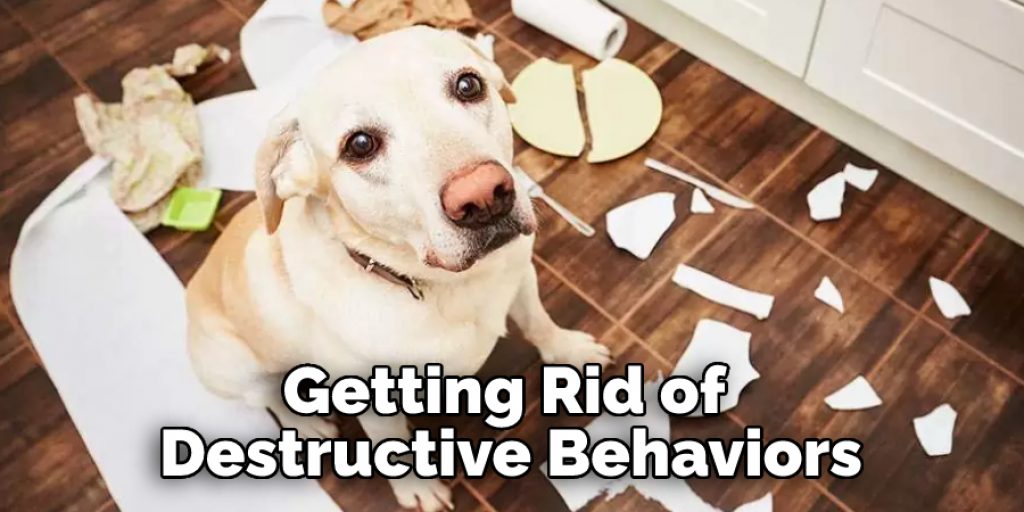 getting rid of destructive behaviors