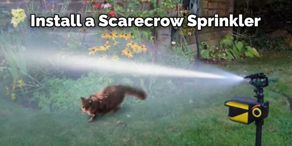  Install a Scarecrow Sprinkler