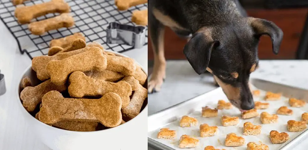 how to make dog treats with cannabutter
