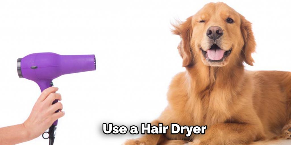 Use a Hair Dryer