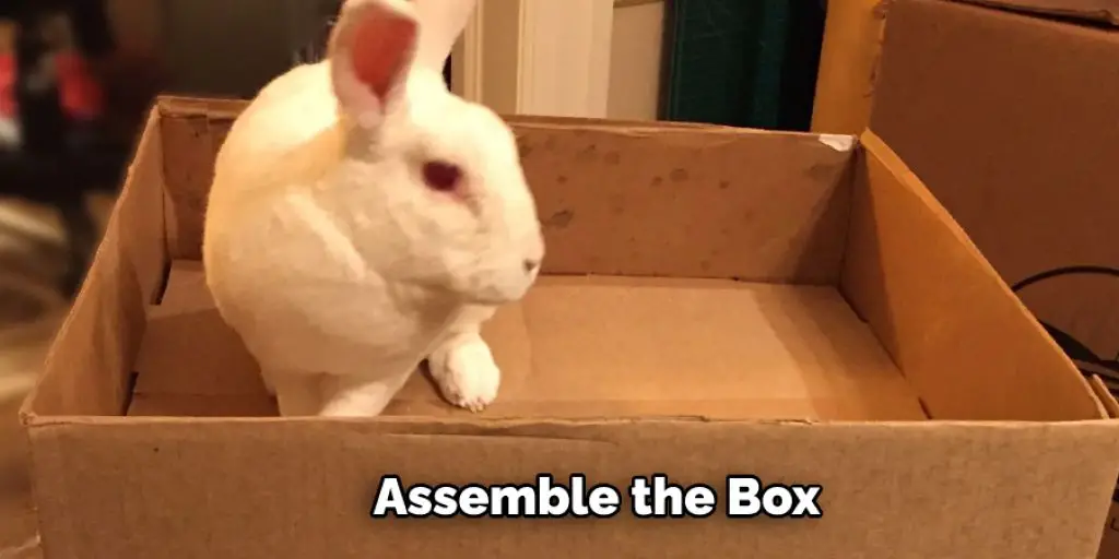 Assemble the Box