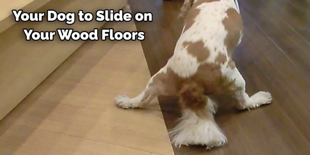 Your Dog to Slide on  Your Wood Floors