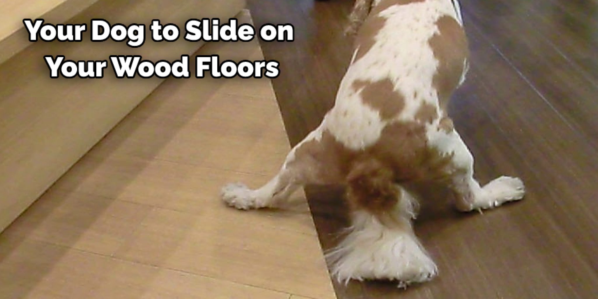 How to Stop Dog Bed From Sliding on Wood Floor 10 Effective Ways