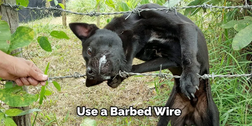  Use a Barbed Wire