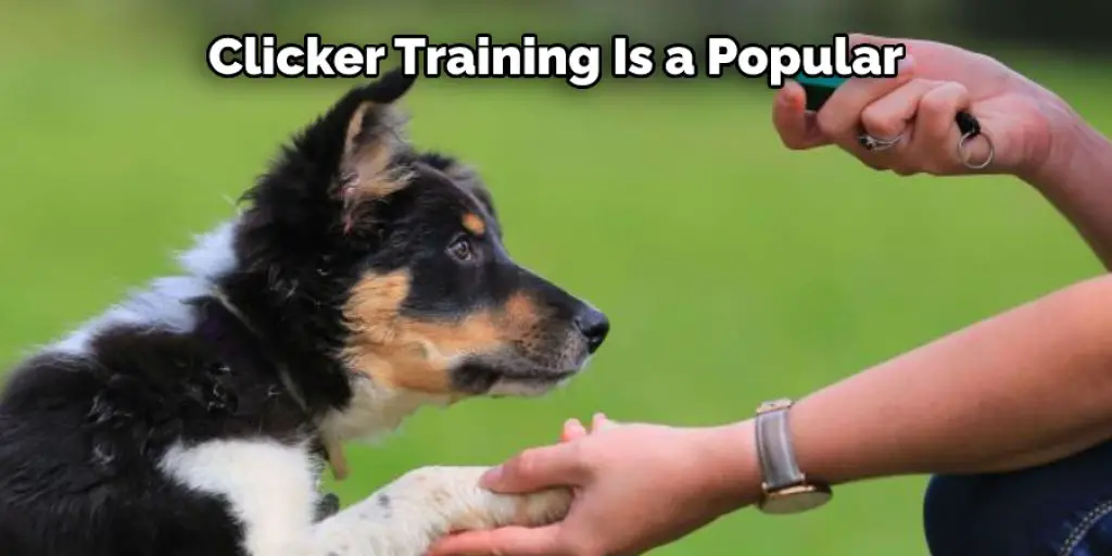 Clicker Training Is a Popular 