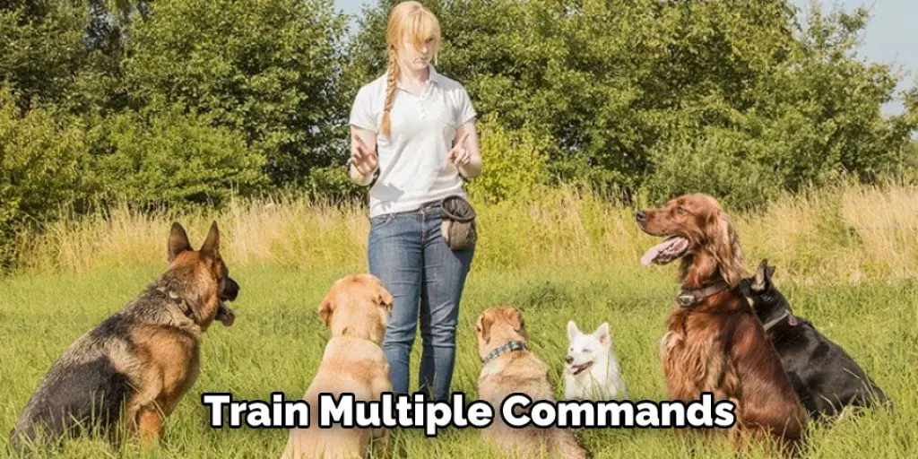  Train Multiple Commands