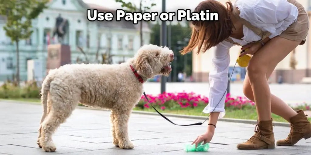 Use Paper or Platin