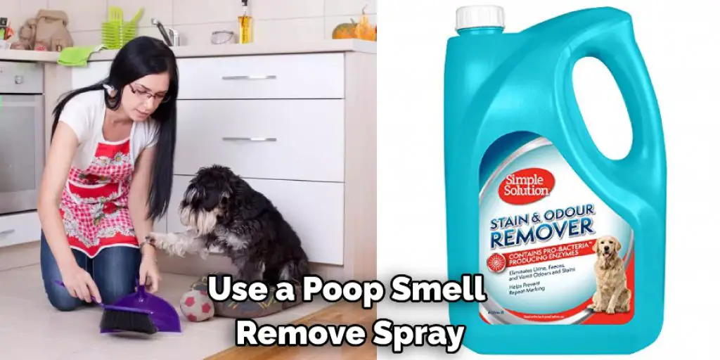 Use a Poop Smell Remove Spray