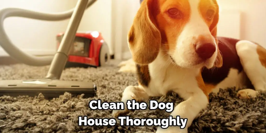 Clean the Dog House Thoroughly