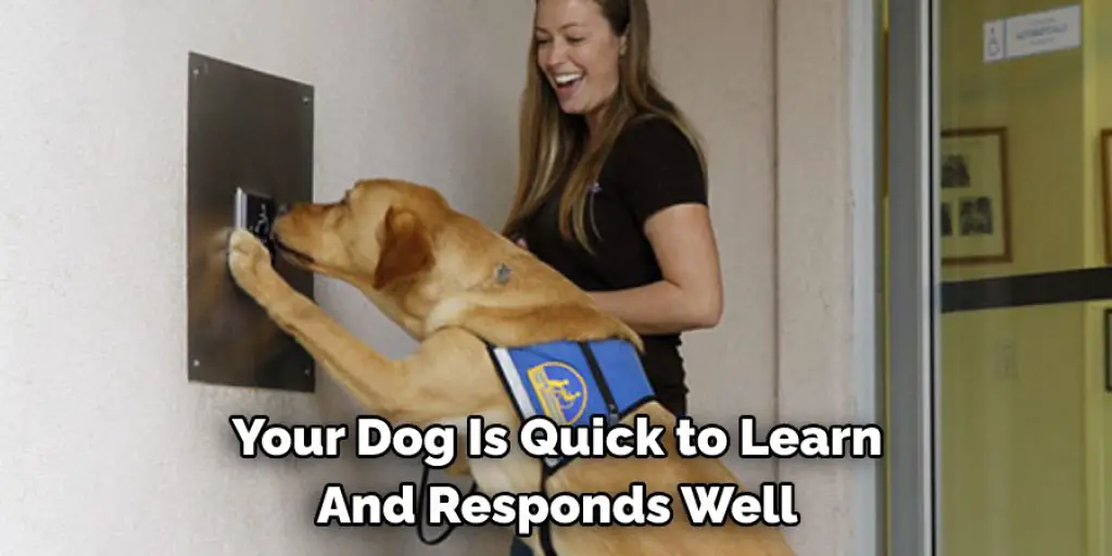 Your Dog Is Quick to Learn And Responds Well