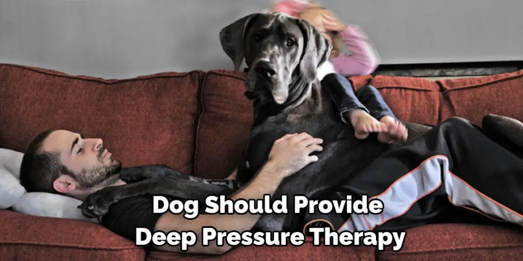 Dog Should Provide  Deep Pressure Therapy