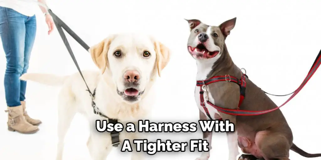 Use a Harness With A Tighter Fit