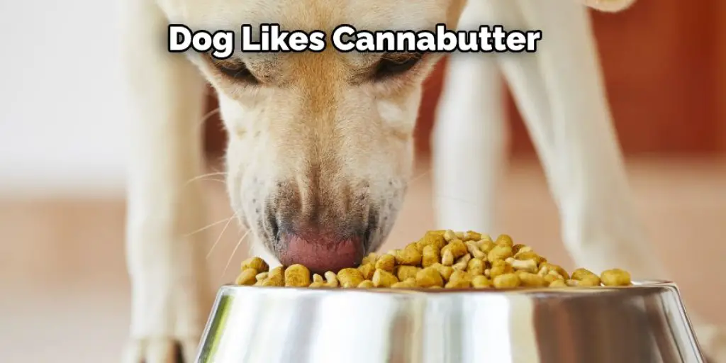 Dog Likes Cannabutter