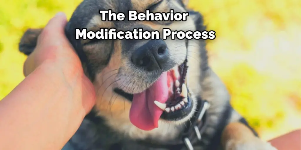 The Behavior Modification Process