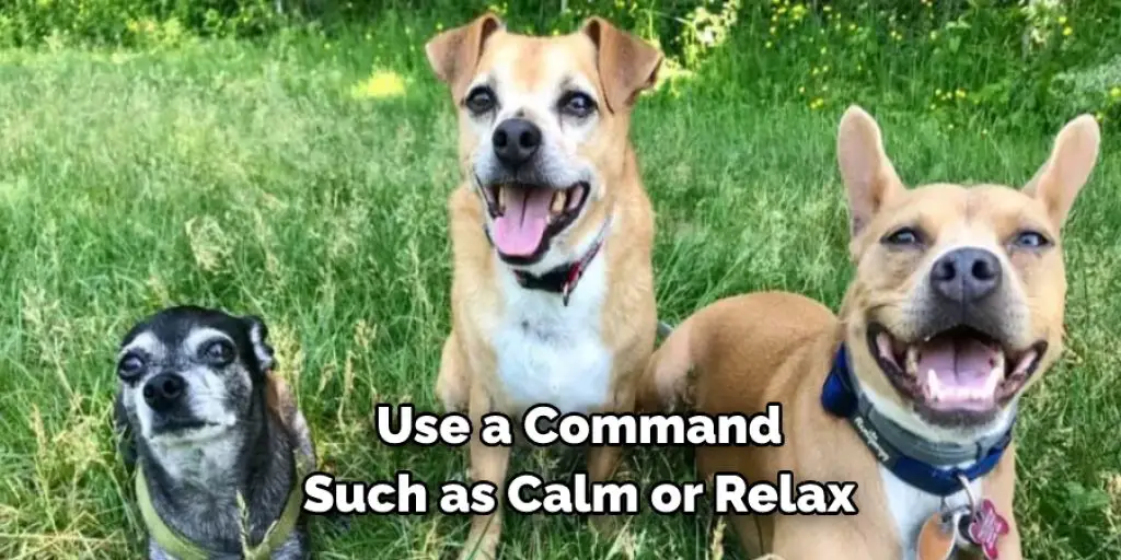 Use a Command  Such as Calm or Relax