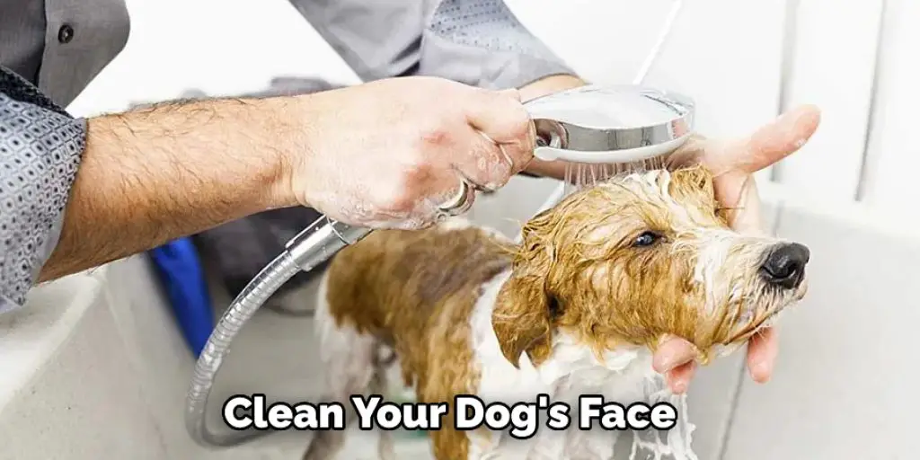 Clean Your Dog's Face
