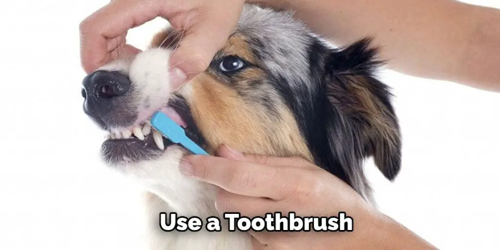Use a Toothbrush 