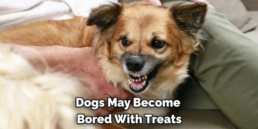 Dogs May Become  Bored With Treats