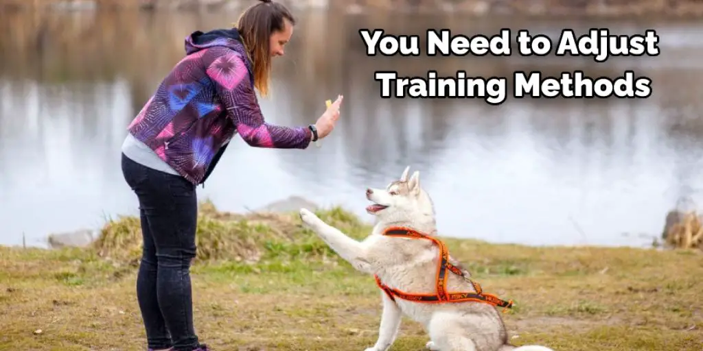 You Need to Adjust Training Methods