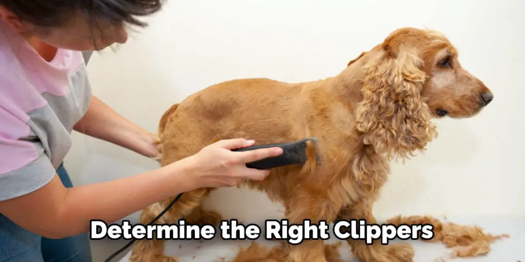 Determine the Right Clippers
