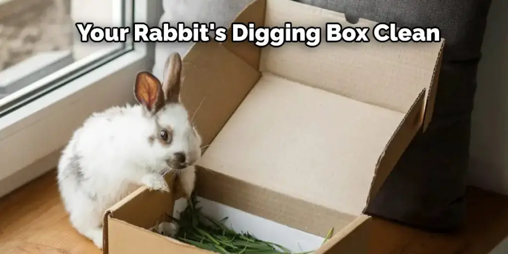 Your Rabbit's Digging Box Clean