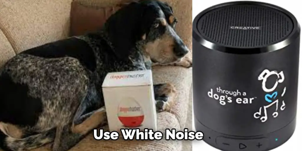 How to Block Out Barking Dog Noise - 12 Effective Ways