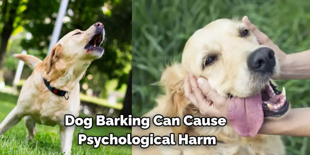 Dog Barking Can Cause  Psychological Harm