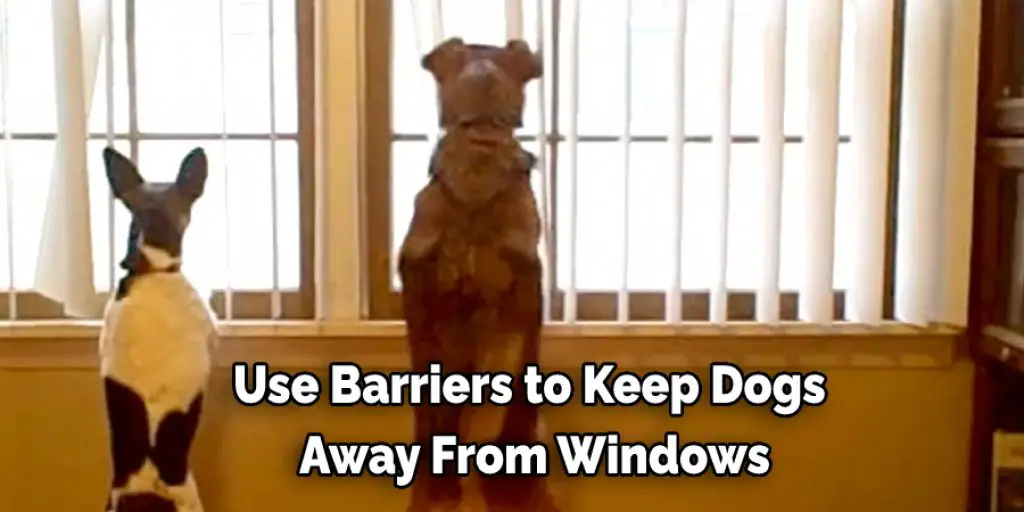 Use Barriers to Keep Dogs  Away From Windows