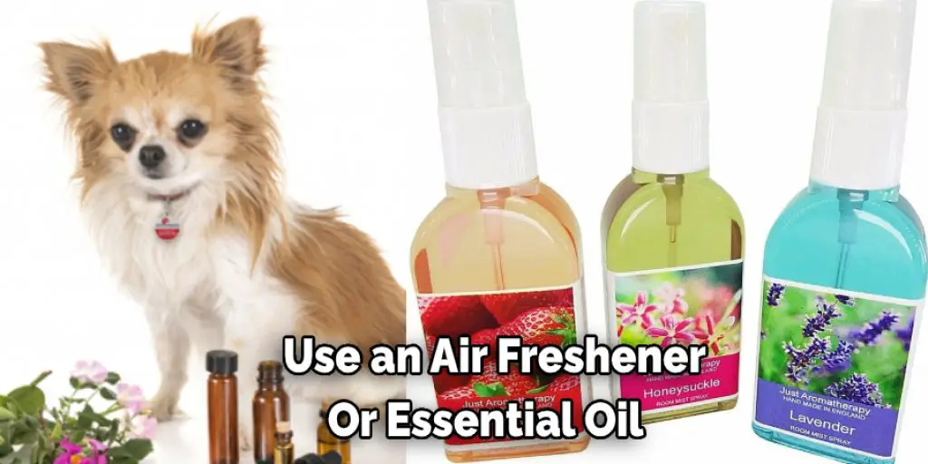  Use an Air Freshener Or Essential Oil 