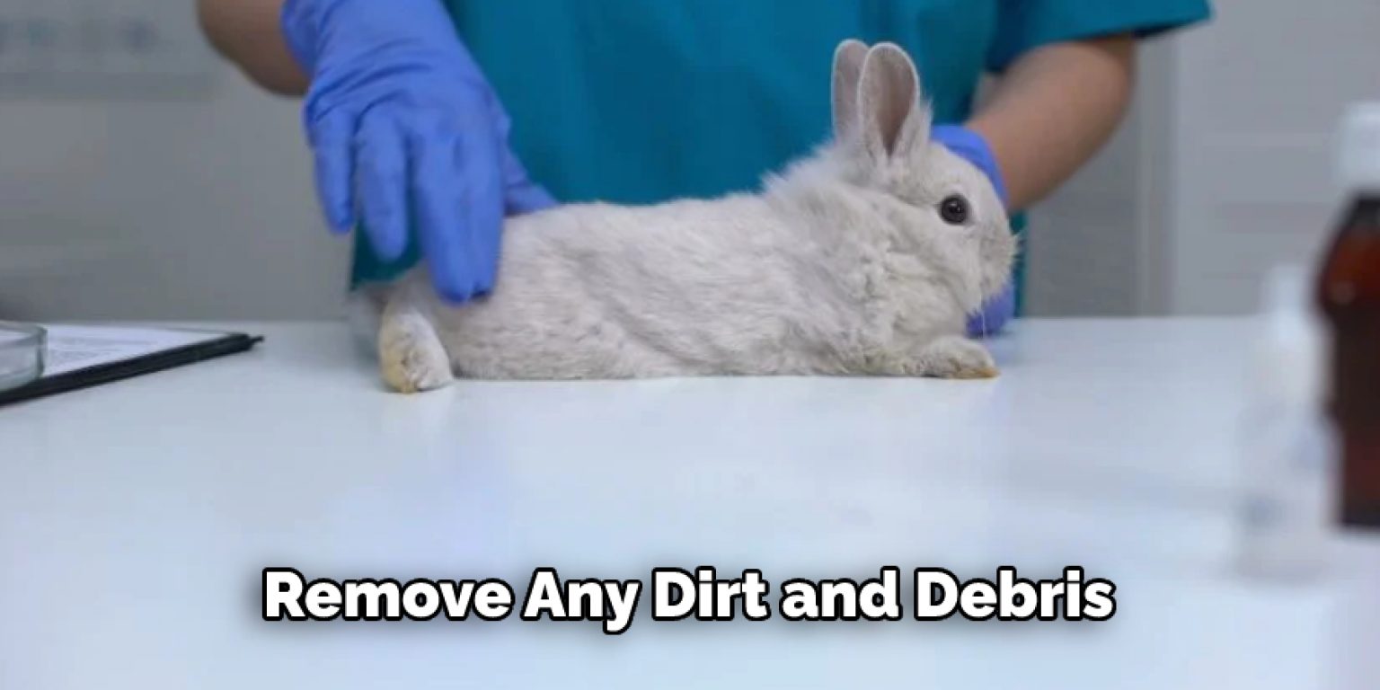 How to Clean Yellow Rabbit Feet in 6 Easy Steps