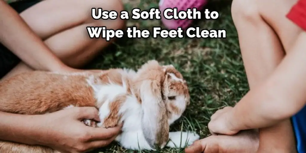 Use a Soft Cloth to  Wipe the Feet Clean