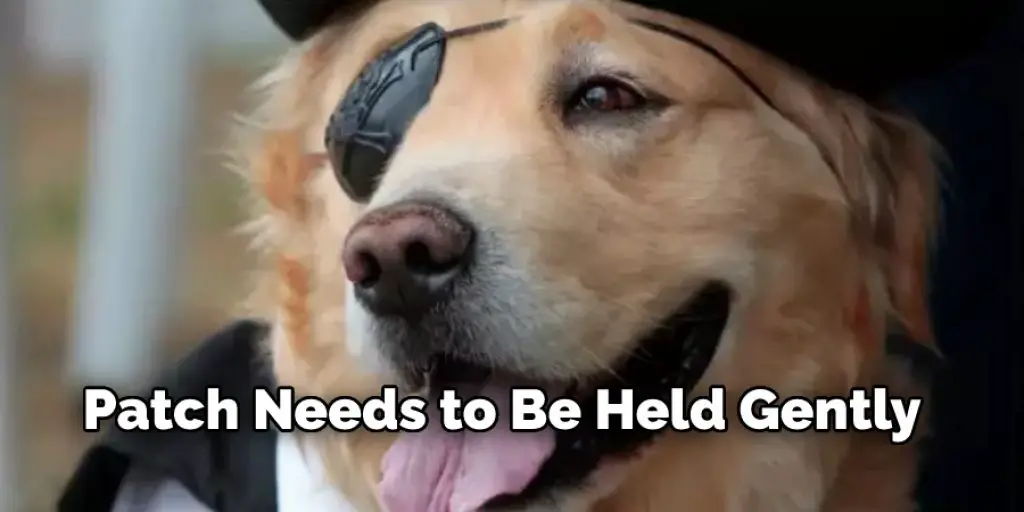 How to Make an Eye Patch for a Dog