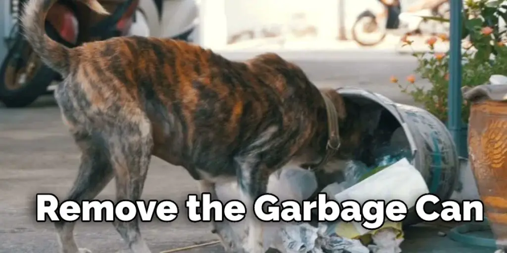 Remove the Garbage Can