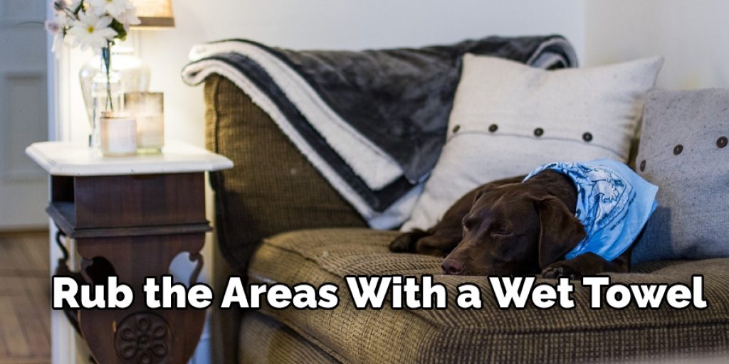 How to Clean Dog's "Bodily Fluid and Dead Skin Cells" Off the Furniture