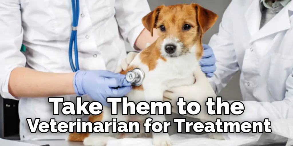 Take Them to the Veterinarian for Treatment