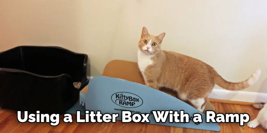 Using a Litter Box With a Ramp