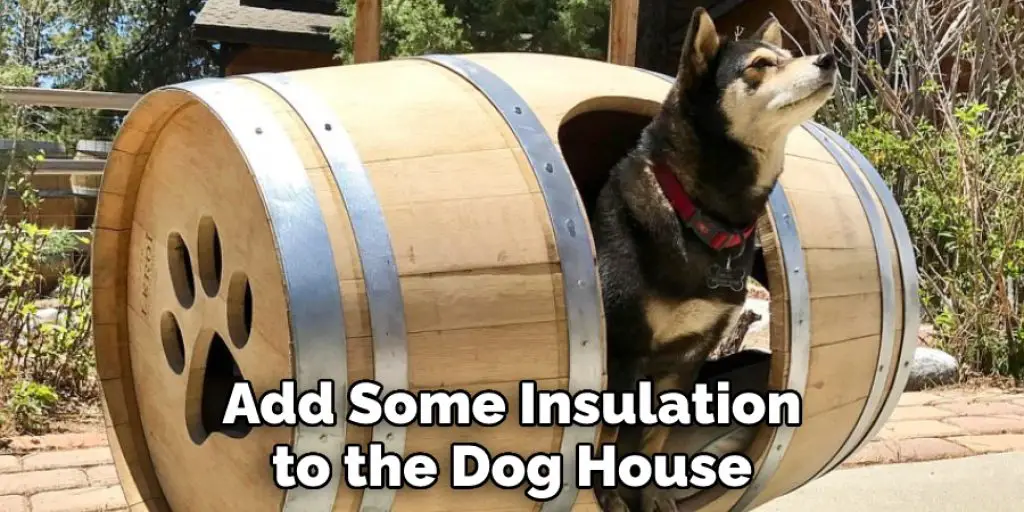 Add Some Insulation to the Dog