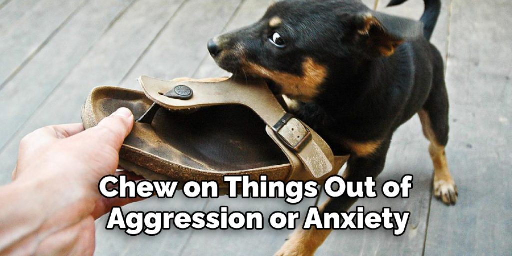 Chew on Things Out of Aggression or Anxiety