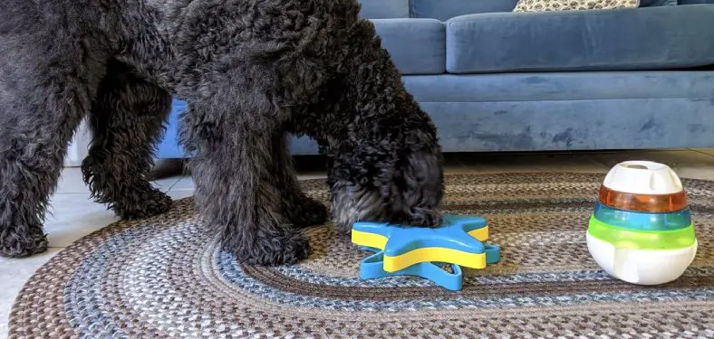 How to Keep Dog Toys from Going Under Couch