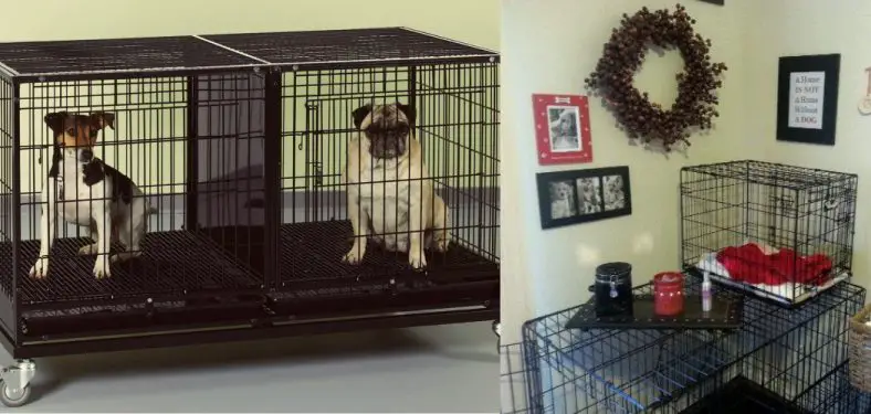 How to Stack Dog Crates