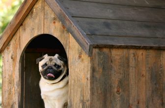 how to waterproof a dog house