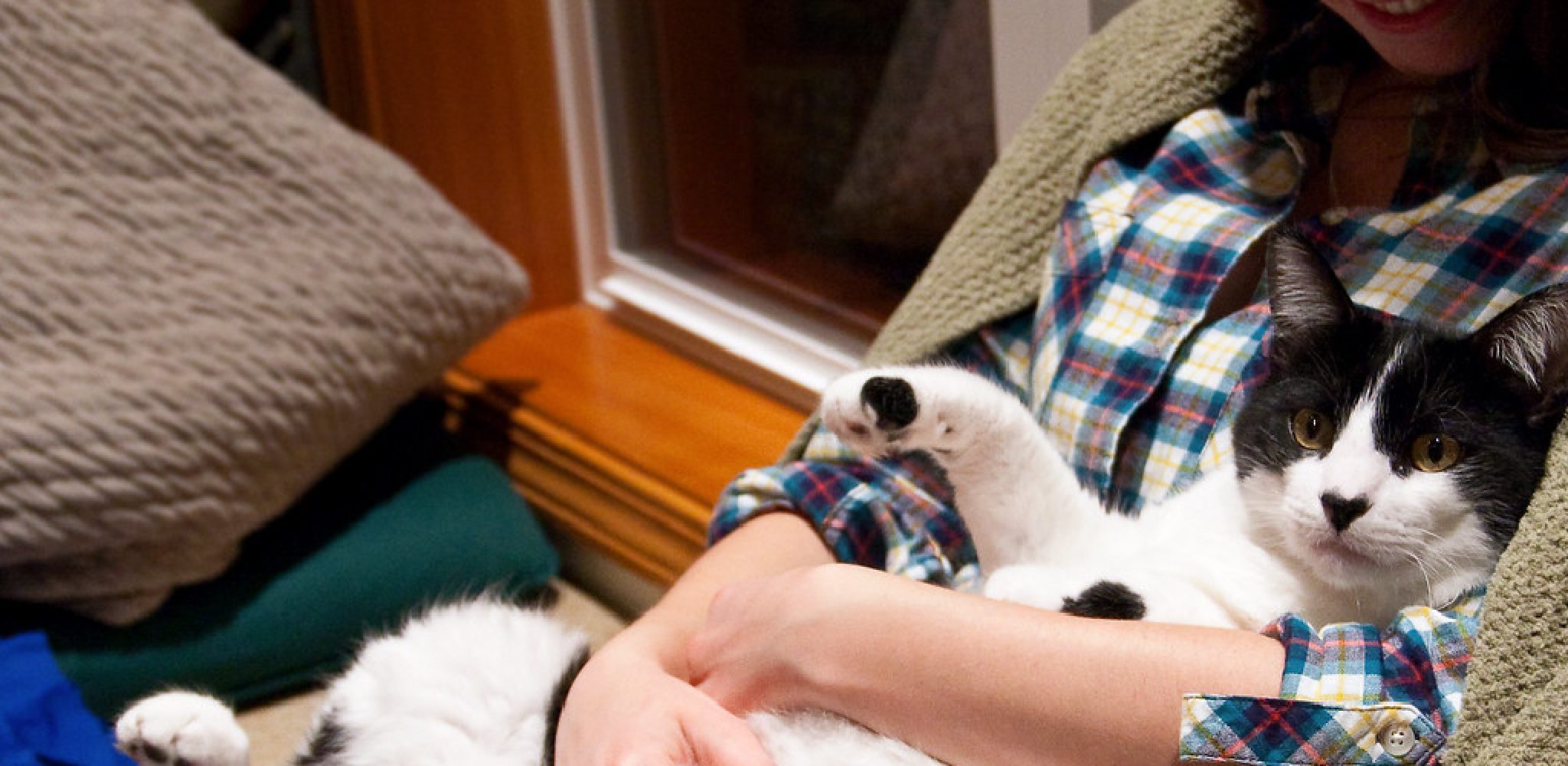 Why Is My Cat So Needy and Vocal Detailed Guide (2024)